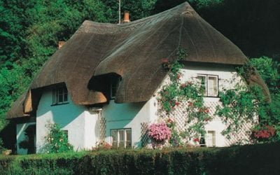 What is the Life Span of a Thatched Roof?