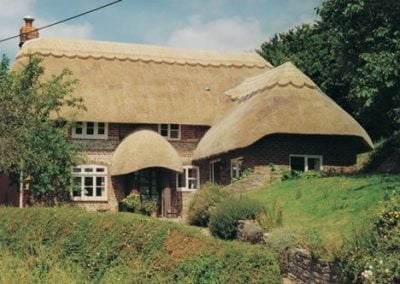 Light thatched roof Dorset