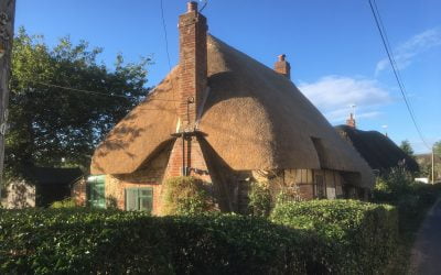 When to Replace a Thatched Roof