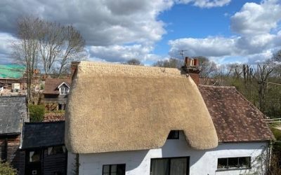 How to Check A Thatched Roof After A Storm