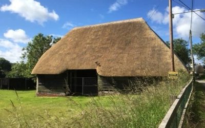 Is a Thatched Roof Environmentally Friendly?